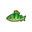 Yellow Perch HHD Icon.png