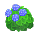 Blue-hydrangea bush