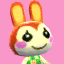 Bunnie's Pic NL Texture.png
