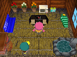 Interior of Drake's house in Animal Crossing: Wild World