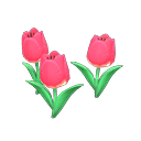 Pink-tulip plant