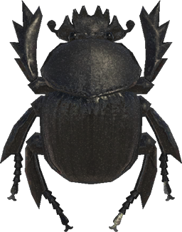 Artwork of dung beetle