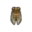 Evening Cicada HHD Icon.png