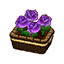 Purple Roses HHD Icon.png
