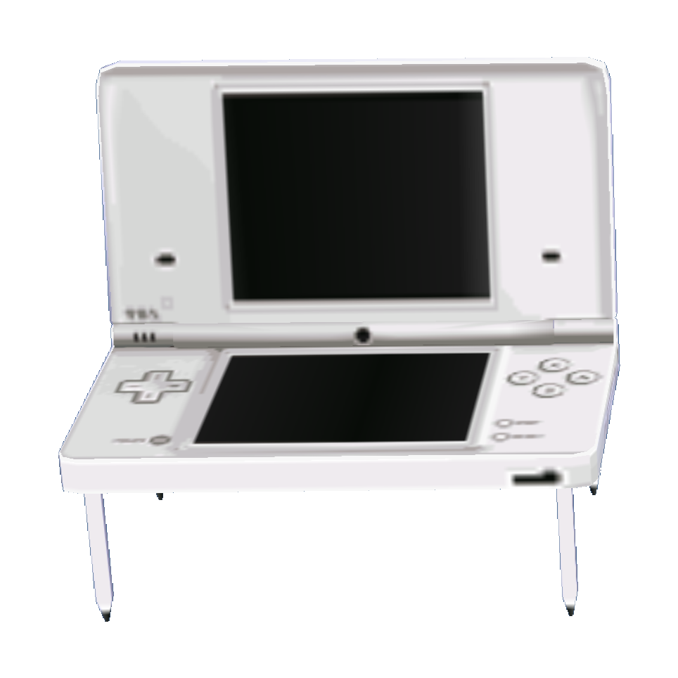 Nintendo DSi W