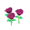 Purple-rose plant