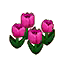 Pink Tulips (Outside) HHD Icon.png