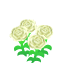 White Carnations NBA Badge.png