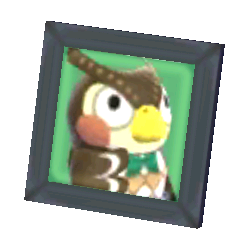 Blathers's Pic NL Model.png