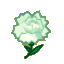 White Carnations CF Icon.png