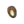 Ear Shell NL Icon.png