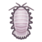Giant Isopod NH Icon.png