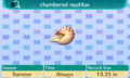 NL Encyclopedia Chambered Nautilus.png
