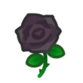 Black Roses NH Inv Icon.png