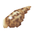 Conch PG Model.png