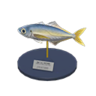 horse mackerel model