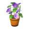Morning Glory (Purple Flower) NL Model.png