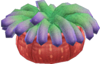 Sea Anemone NH.png