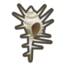 venus comb