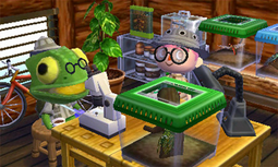Example of Nat's Happy Home Designer house