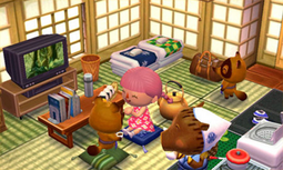 Example of Timmy's Happy Home Designer house