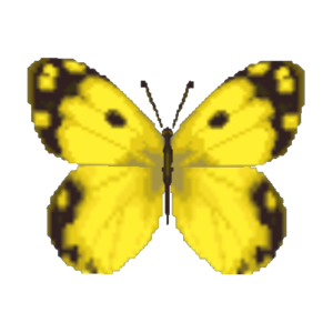 Yellow Butterfly CF Model.png