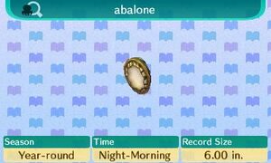 Abalone NL Description.jpg