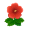 Red Hibiscus PC Icon.png