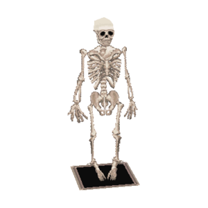 Skeleton WW Model.png