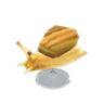 snail model