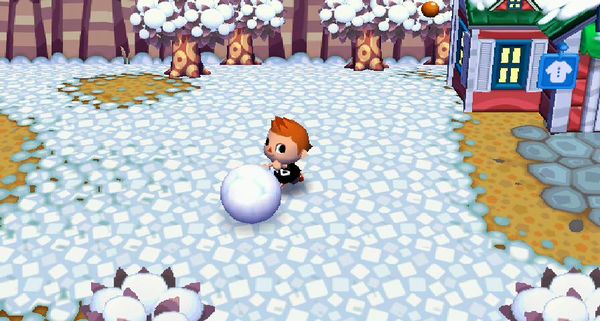 What Type Of Animal Is Snowball In Animal Farm