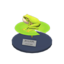 frog model