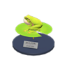 frog model