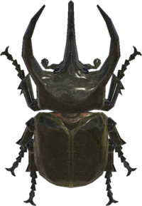 Artwork of Horned Atlas Atlas Beetle