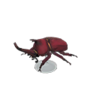 horned dynastid model
