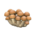 Mush partition's Ordinary mushroom variant