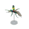 tiger beetle model