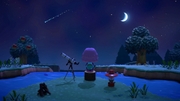 Nintendo Music ACNH 10 00 PM - Clear.jpg