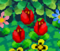 PG Red Tulips.png
