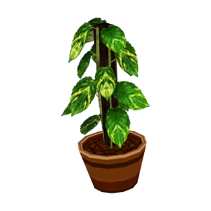 Pothos CF Model.png