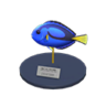 surgeonfish model
