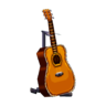 folk guitar