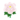 White Peony PC Icon.png