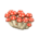 Mush partition's Red mushroom variant