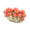 Mush Partition (Red Mushroom) NH Icon.png