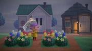 Nintendo Music ACNH 6 00 AM - Rainy.jpg