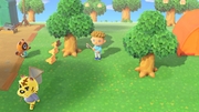 Nintendo Music ACNH Island Life Orientation 6 - Clear.jpg