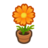 Orange-Cosmos Plant NH Inv Icon.png