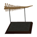 Parasaur Tail CF Model.png