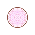 Pink Kaleidoscope Rug PC Icon.png